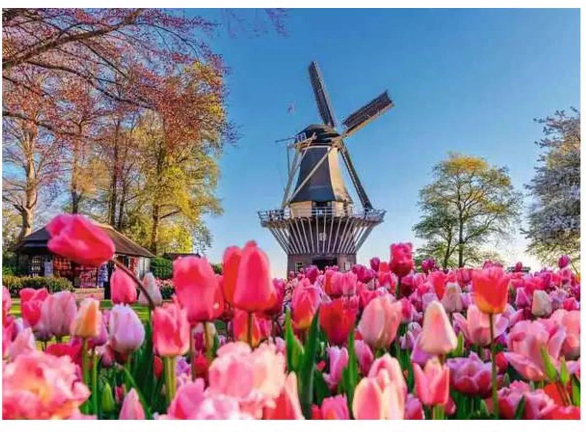 Ravensburger Keukenhof Nederland Puzzel 1000 Stuks