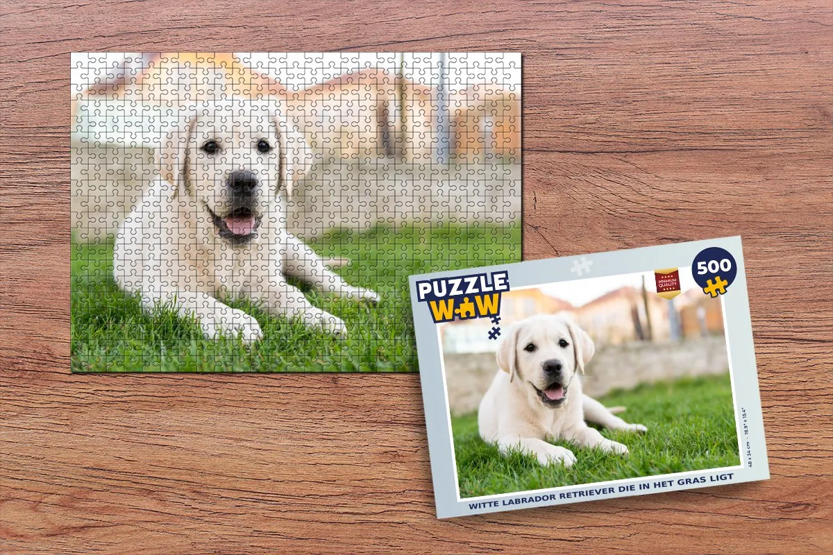 PuzzleWow Legpuzzel Witte Labrador 500 Stuks - Multicolor