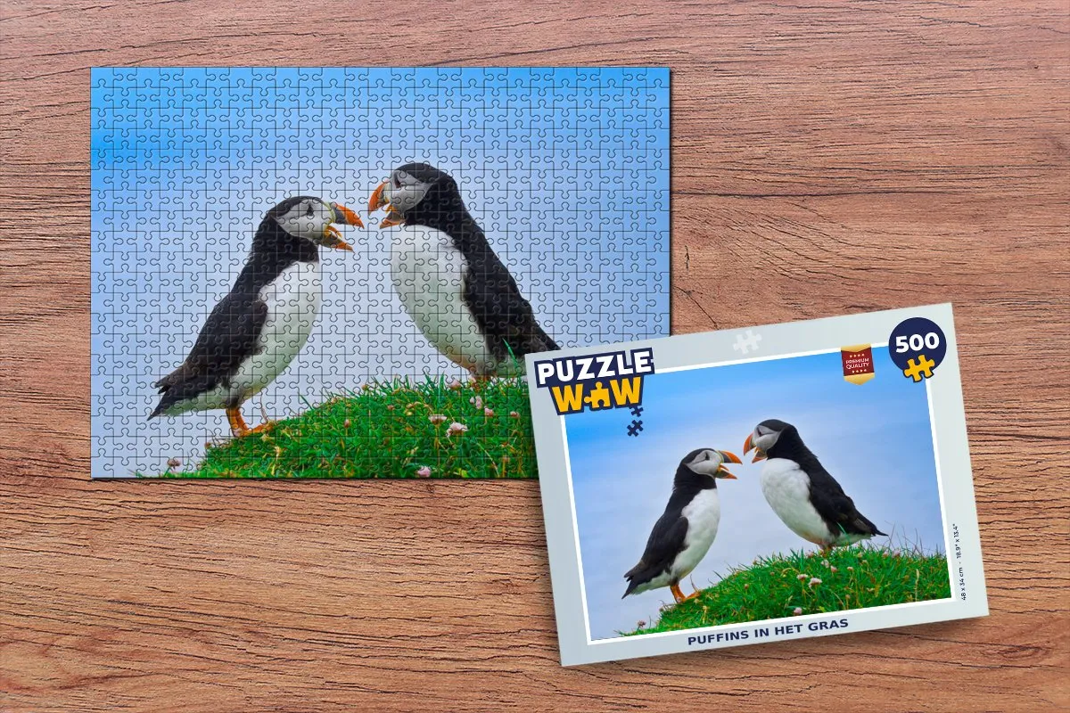 PuzzleWow Vogels Legpuzzel Papegaaiduikers 500 Stuks - Multicolor