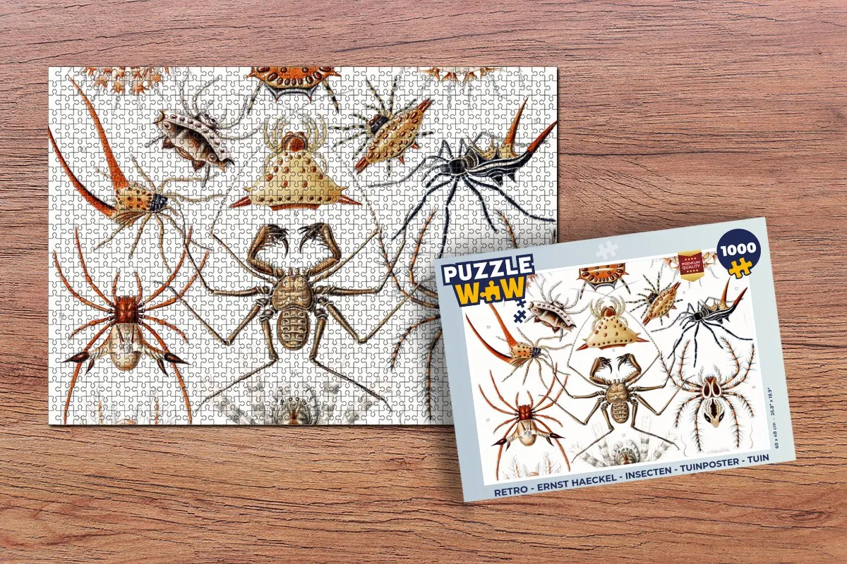 PuzzleWow Retro Spin Ernst Haeckel Legpuzzel 1000 Stuks - Multicolor