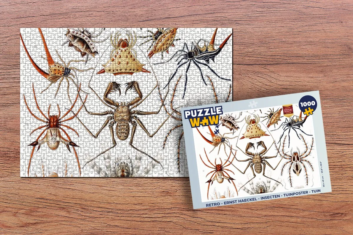 PuzzleWow Retro Spin Ernst Haeckel Legpuzzel 1000 Stuks - Multicolor