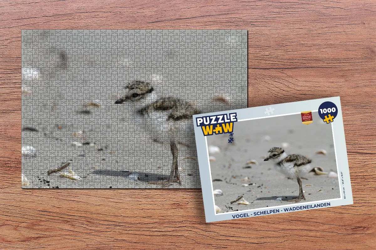 PuzzleWow Vogel - Schelpen - Waddeneilanden Legpuzzel 1000 Stuks - Multicolor