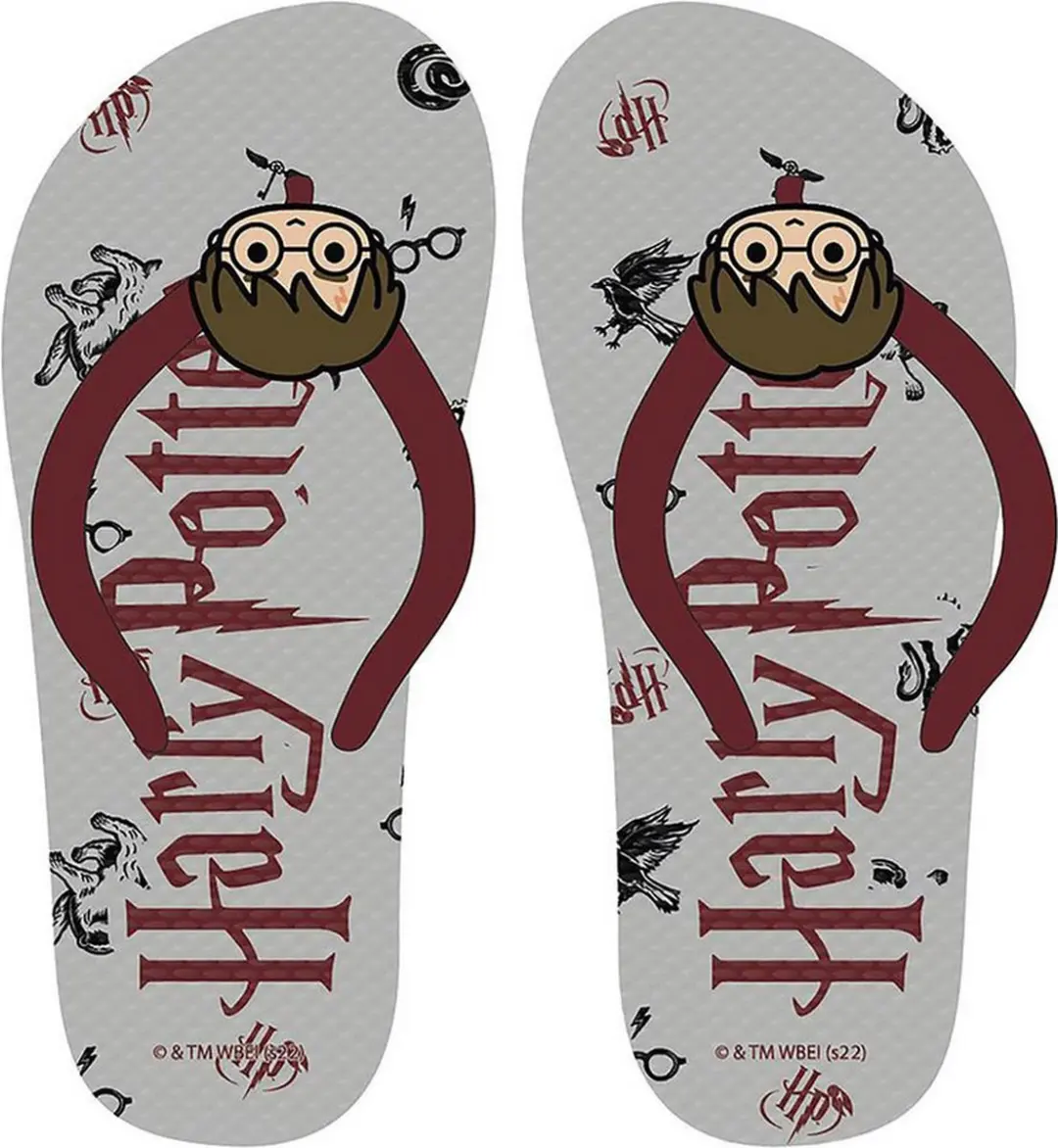 Slippers voor Kinderen Harry Potter