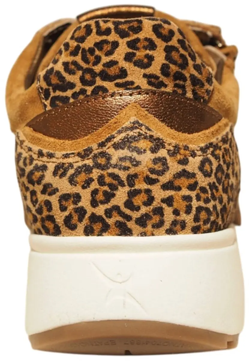 Xsensible Pristina 30231.2 Suede VTR Luipaard 40 - afbeelding 6 van 6