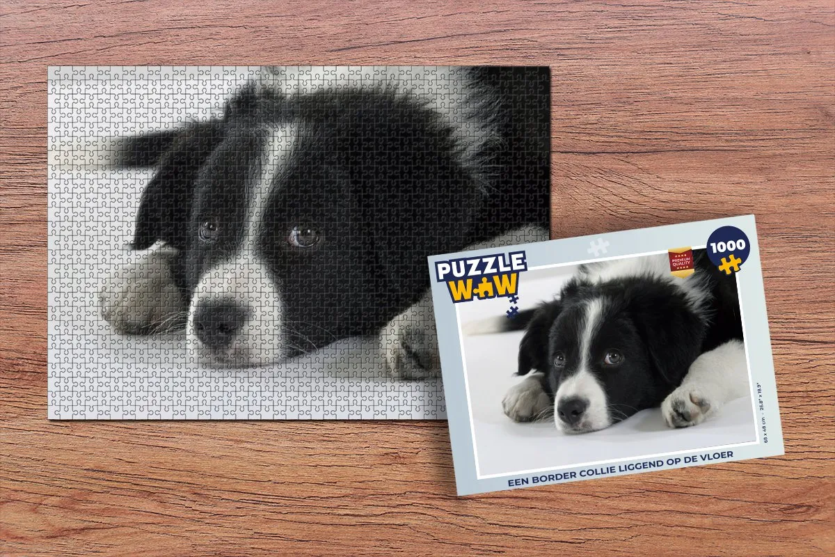 PuzzleWow Border Collie Legpuzzel 1000 Stuks - Multicolor