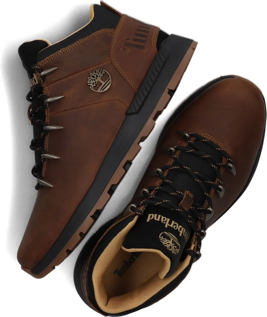 Timberland TB0A67TG Heren Sneakers - Bruin