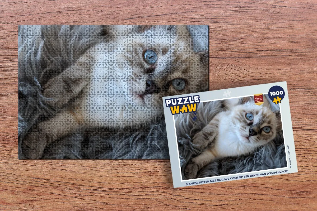 PuzzleWow Siamese Kitten Legpuzzel 1000 Stuks - Multicolor