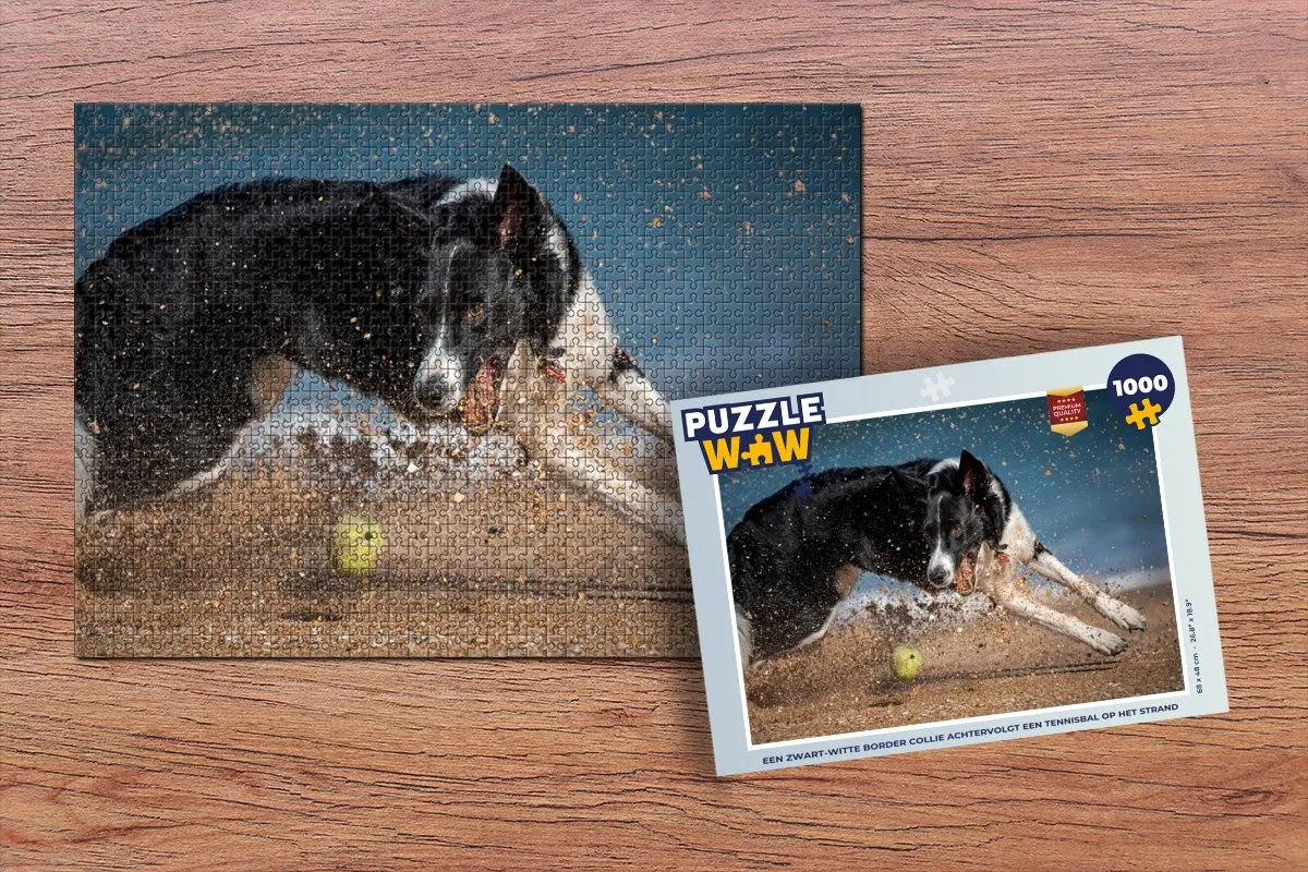 PuzzleWow Border Collie Strandpuzzel 1000 Stuks - Multicolor