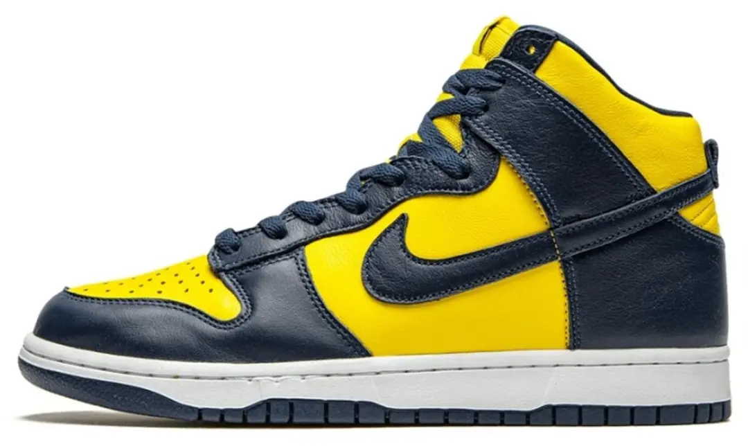 Nike Dunk High