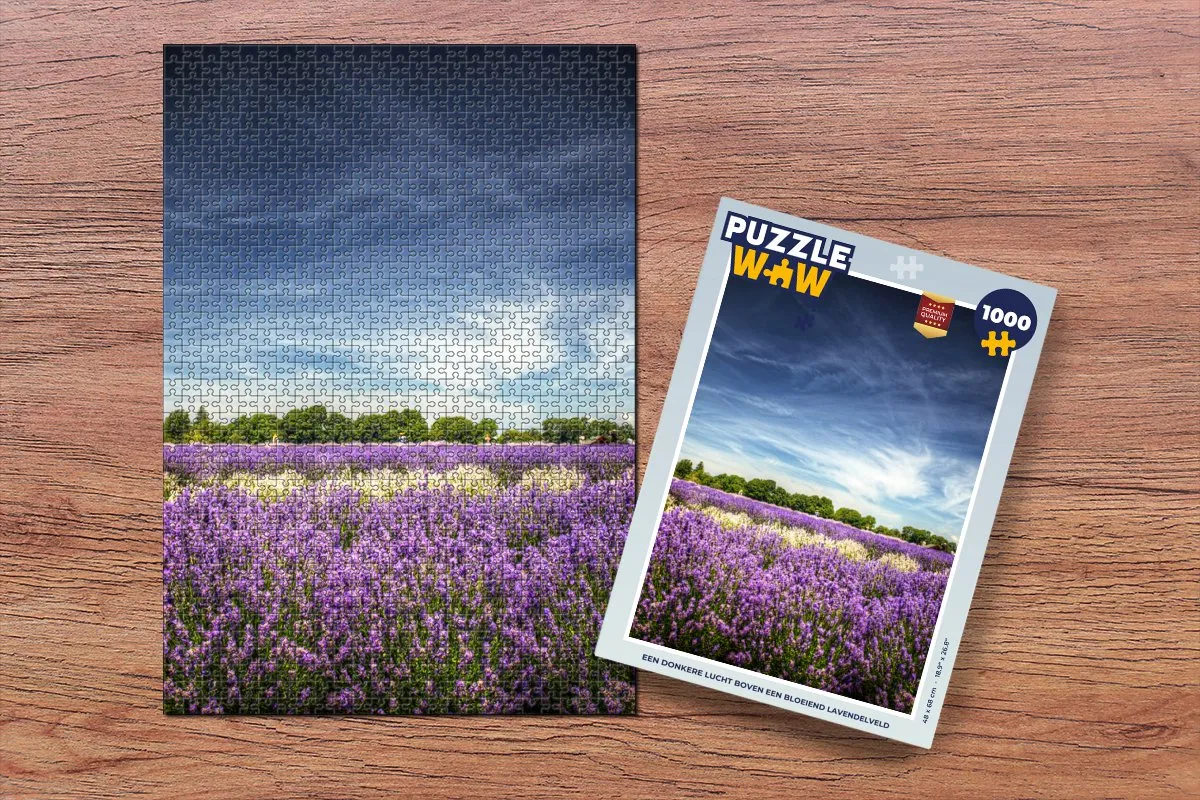 PuzzleWow Legpuzzel 1000 Stuks - Multicolor