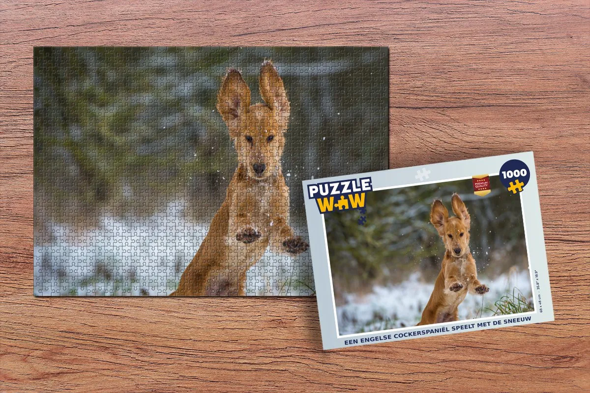 PuzzleWow Legpuzzel Een Engelse Cockerspaniël - 1000 Stuks - Multicolor