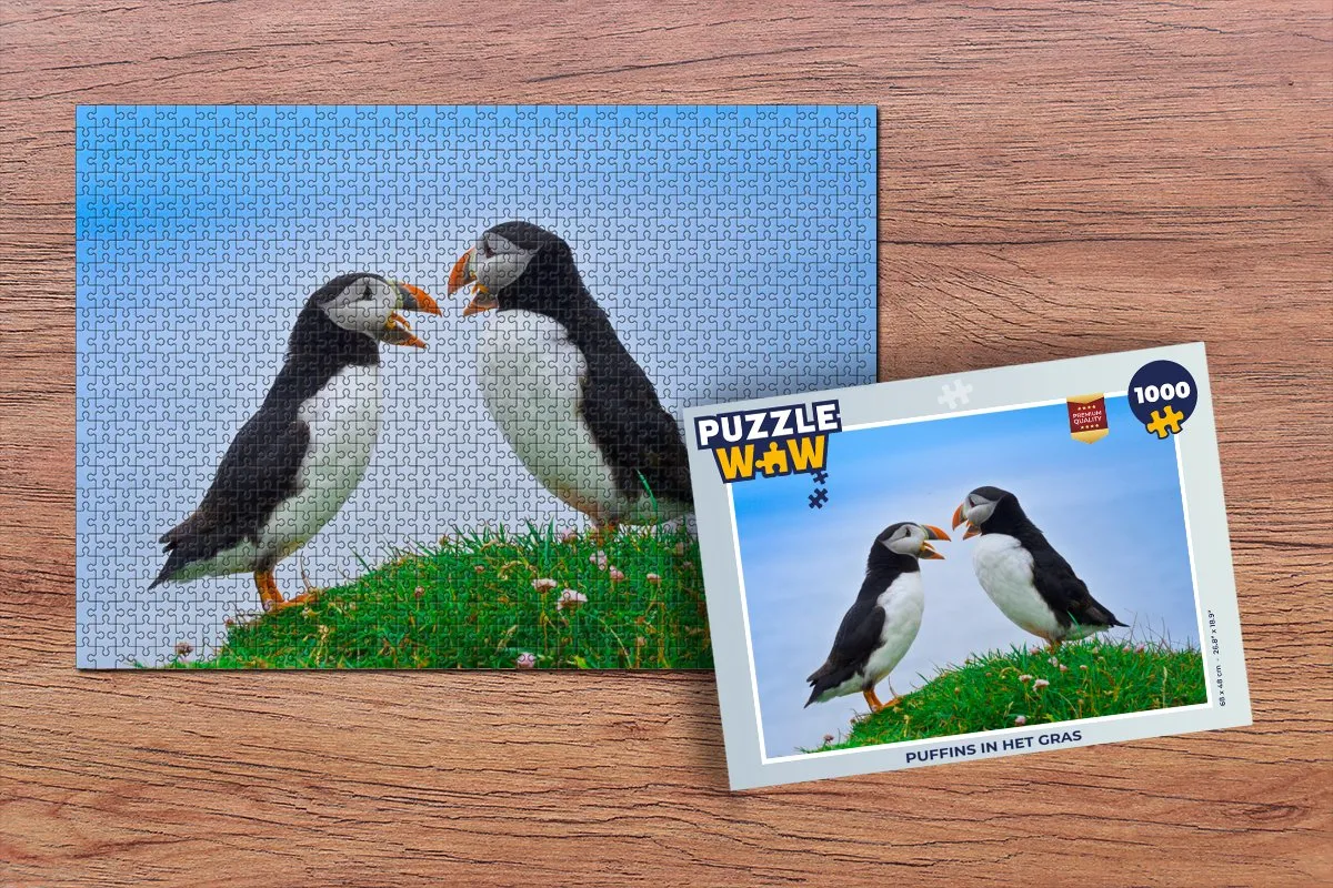 PuzzleWow Vogels Legpuzzel Papegaaiduikers 1000 Stuks - Multicolor
