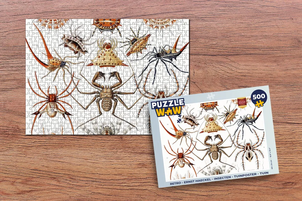 PuzzleWow Retro Spin Ernst Haeckel Legpuzzel 500 Stuks - Multicolor