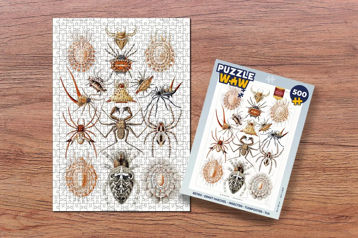 PuzzleWow Retro Spin Ernst Haeckel Legpuzzel 500 Stuks - Multicolor