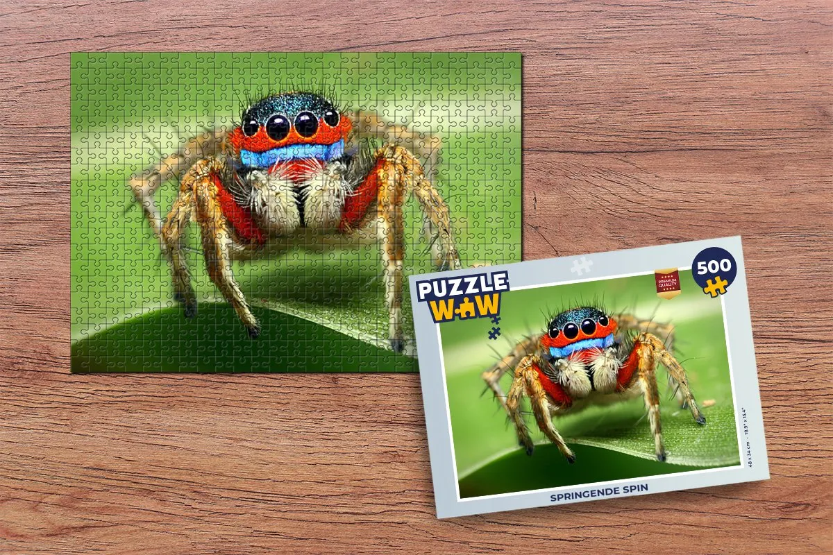 PuzzleWow Springende Spin Legpuzzel 500 Stuks - Multicolor