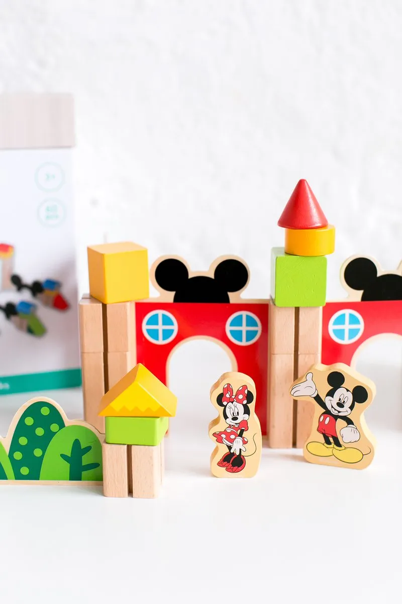 Disney Houten Blokken TY048 - 60 Stuks Multicolor