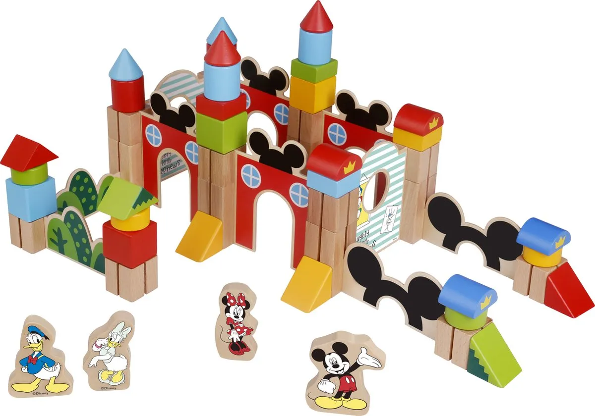Disney Houten Blokken TY048