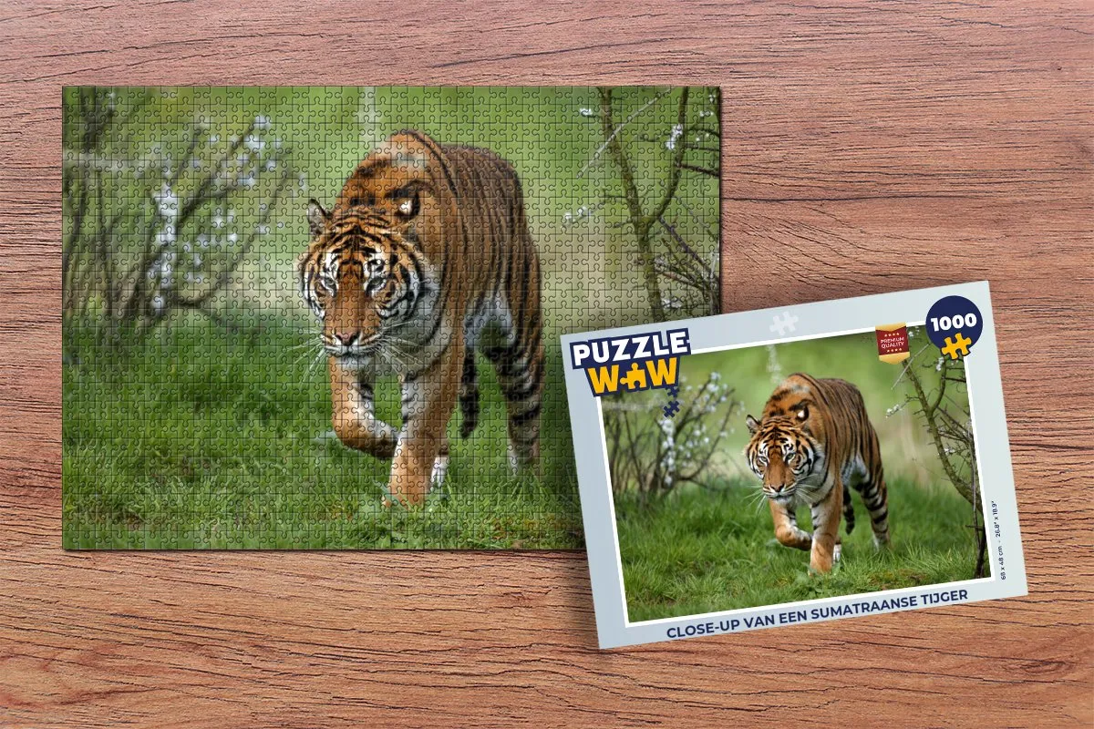 PuzzleWow Sumatraanse Tijger Legpuzzel 1000 Stuks - Multicolor