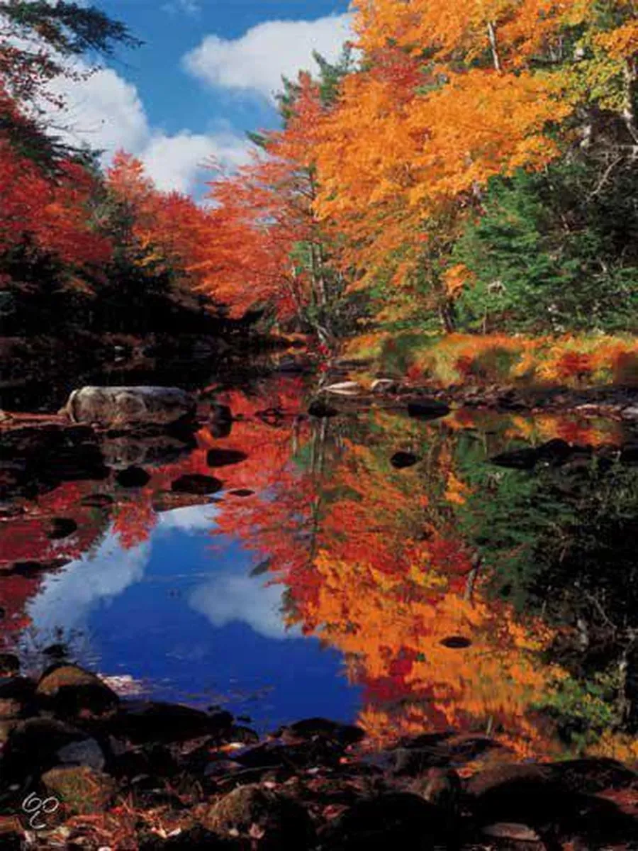 Ravensburger Canada Indian Summer Puzzel