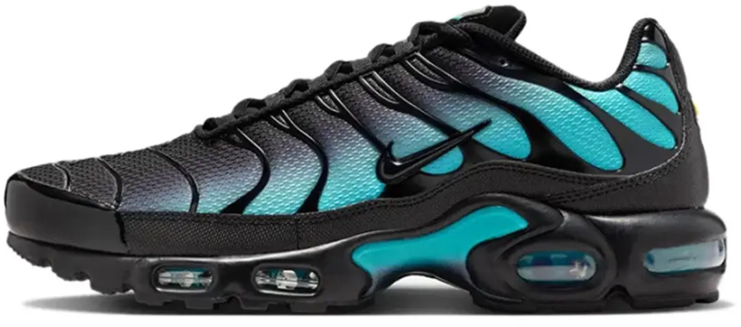 Nike Nike Air Max TN Plus Black Dusty Cactus (Maat 44