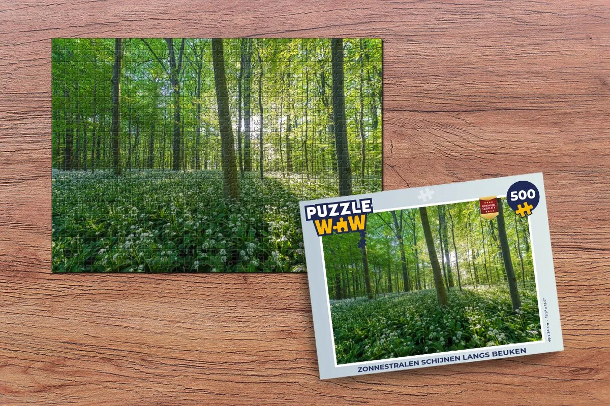 PuzzleWow Legpuzzel Zonnestralen 500 Stuks - Multicolor