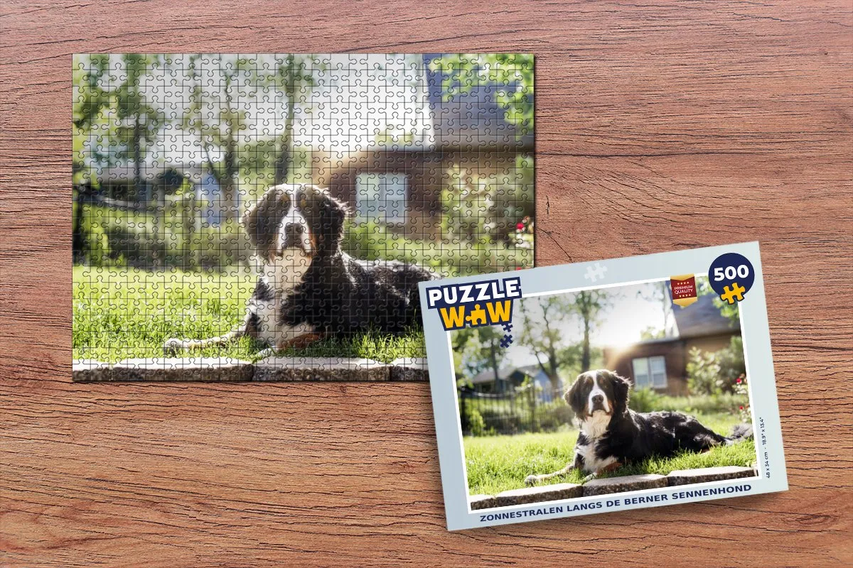 PuzzleWow Legpuzzel Zonnestralen Berner Sennenhond 500 Stuks - Multicolor