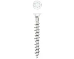 Dynaplus TX-20 Platkop Schroef 4.0x40mm - Wit - afbeelding 6 van 6