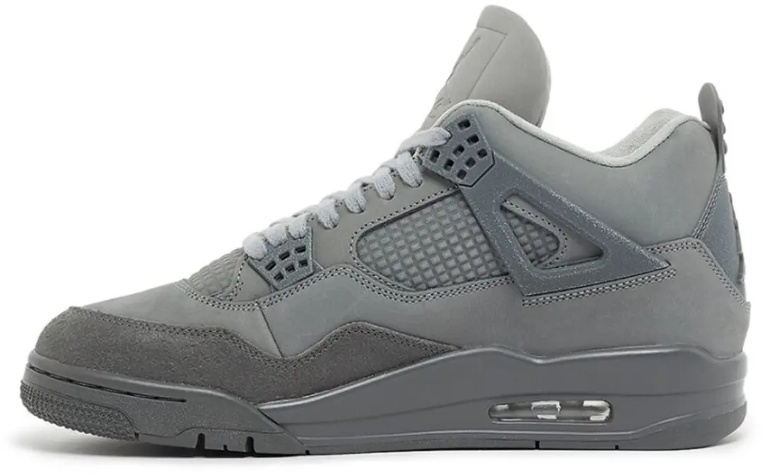 Air Jordan 4 Retro SE