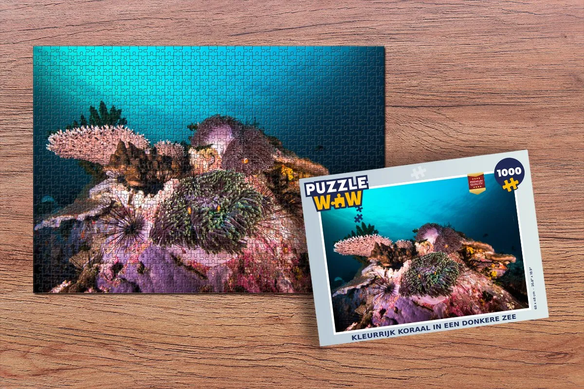 PuzzleWow Legpuzzel Kleurrijk Koraal 1000 Stuks - Multicolor