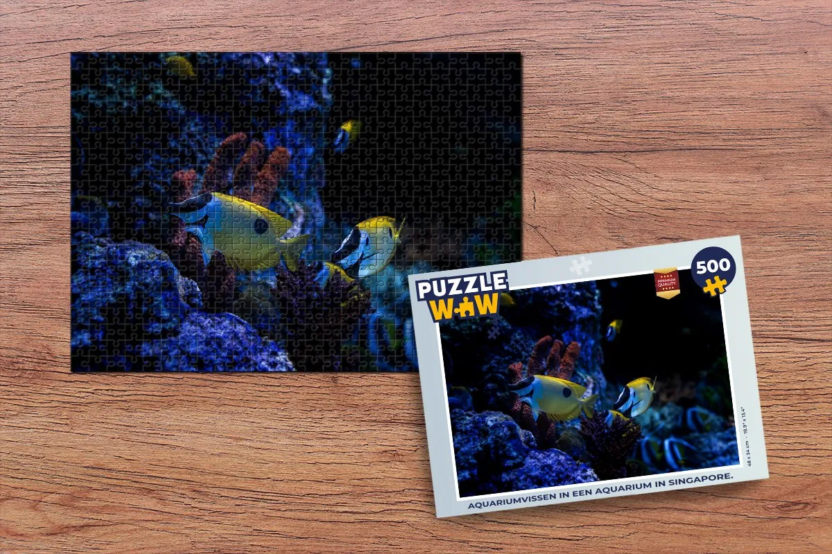 PuzzleWow Legpuzzel Aquariumvissen Singapore 500 Stuks