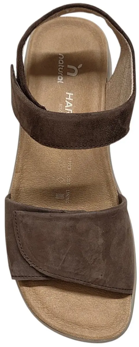 Hartjes 132.2002 Sandalen - Dames Breedtemaat 41 - Donkerbruin