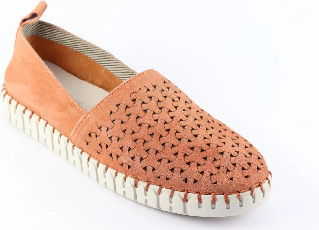Sioux Rachida.6169291 Macaron