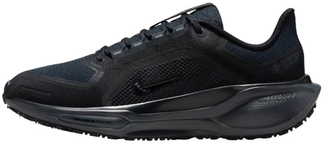 Nike Pegasus 41 Gore-tex Dames Hardloopschoenen FQ1357-001
