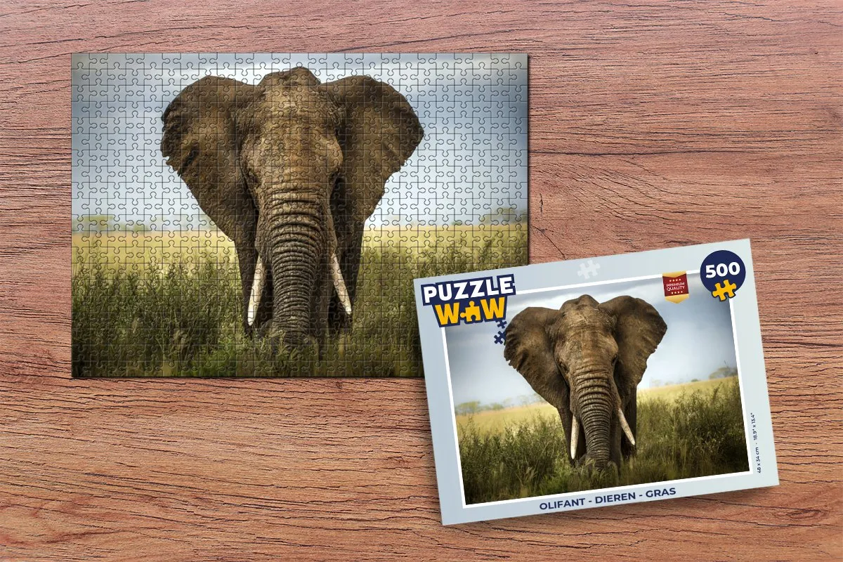 PuzzleWow Olifant Legpuzzel 500 Stuks - Multicolor