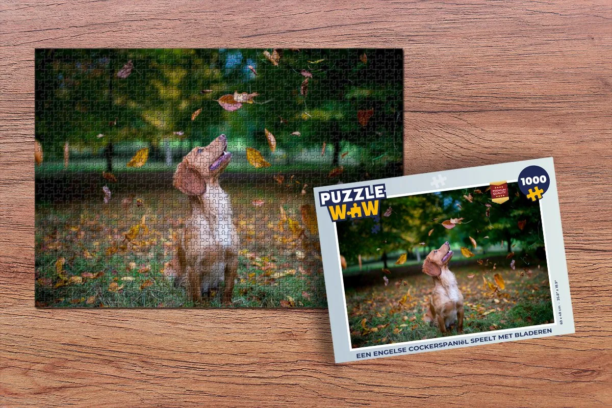 PuzzleWow Legpuzzel Een Engelse Cockerspaniëel 1000 Stuks