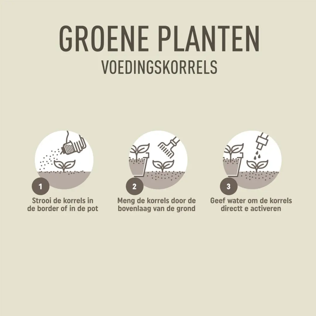 Pokon Voedingskorrels Groene Planten 800g - afbeelding 4 van 5