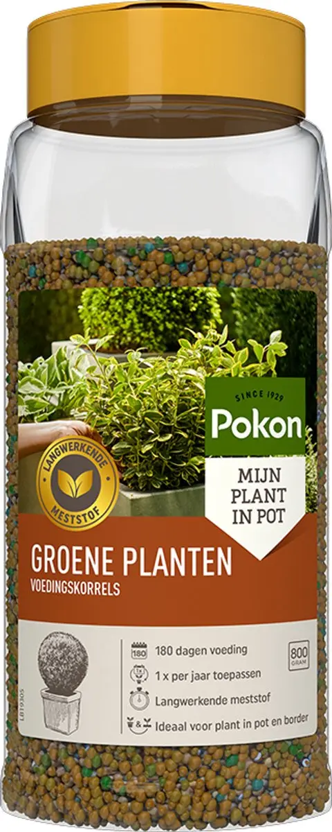 Pokon Voedingskorrels Groene Planten 800g