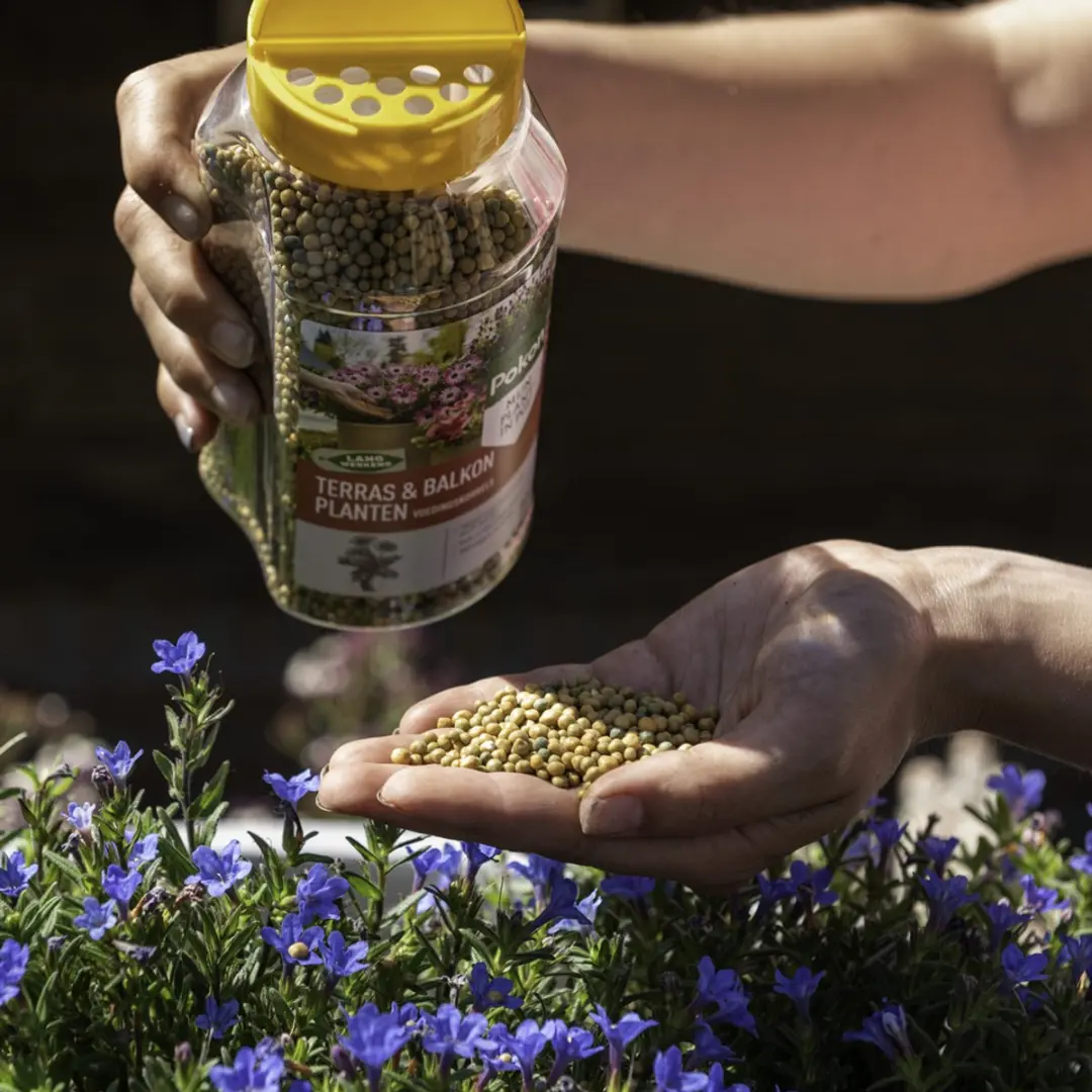 Pokon Terras & Balkon Plantenvoeding 800g - Osmocote - afbeelding 5 van 5