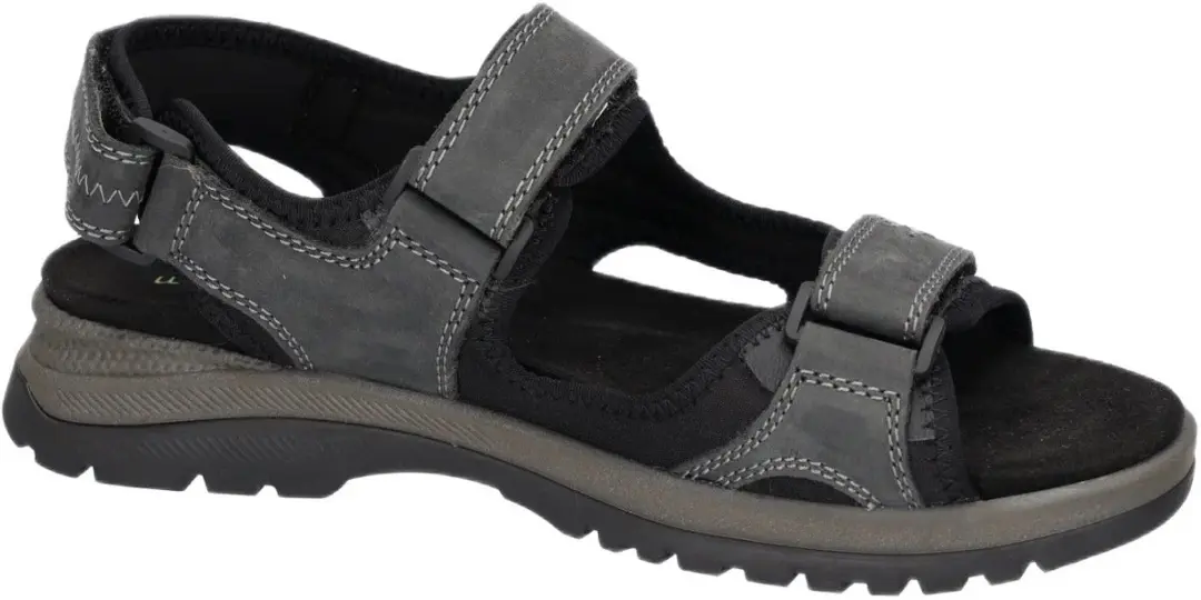 Waldläufer H-Taro