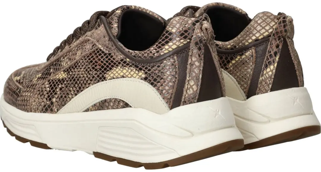 Xsensible Bailey Stretchwalker Sneakers - Dames 36 - Bruin - afbeelding 6 van 6
