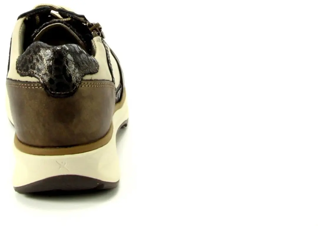 Xsensible New Jersey GX 3389 Sneakers - Bruin - afbeelding 3 van 6