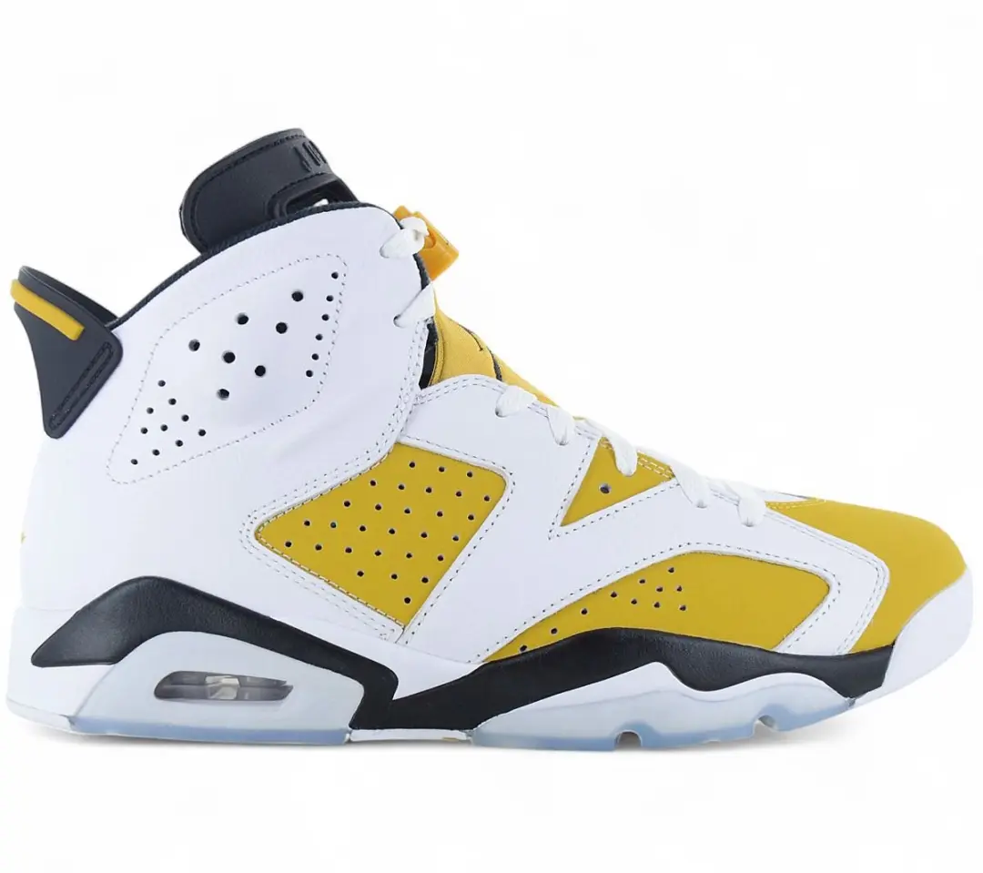 Air Jordan 6 Retro