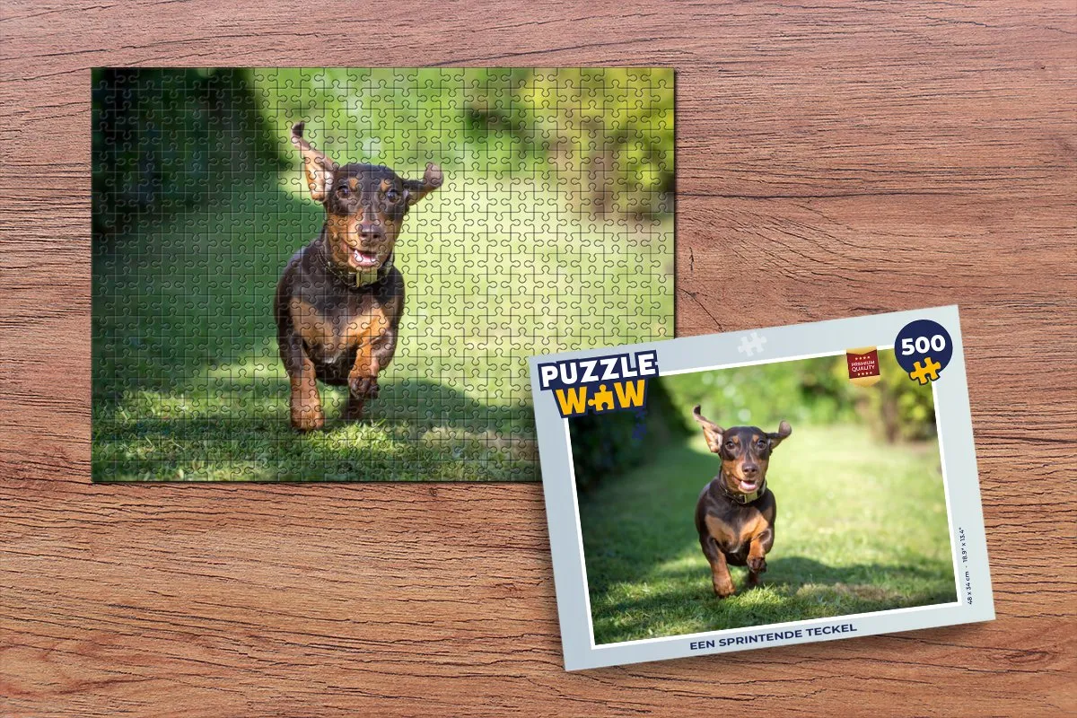PuzzleWow Legpuzzel Een Sprintende Teckel 500 Stuks