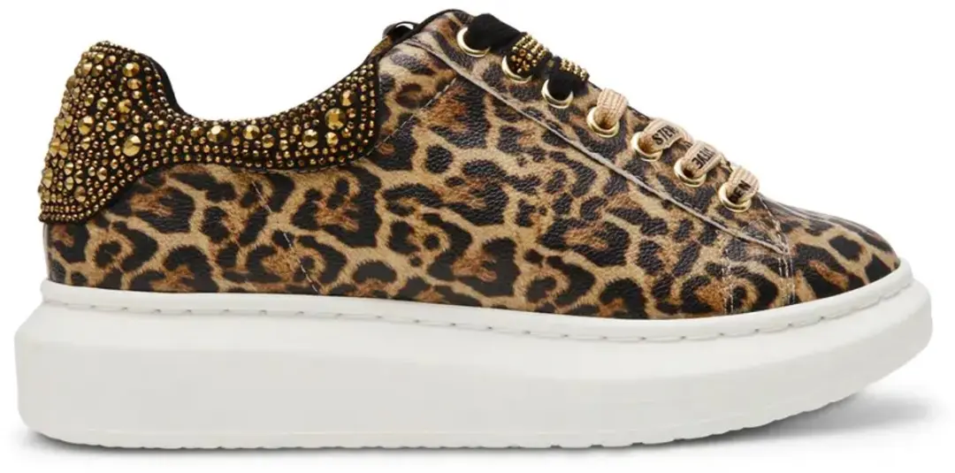 Schoenen dames Steve Madden Gaze-2C