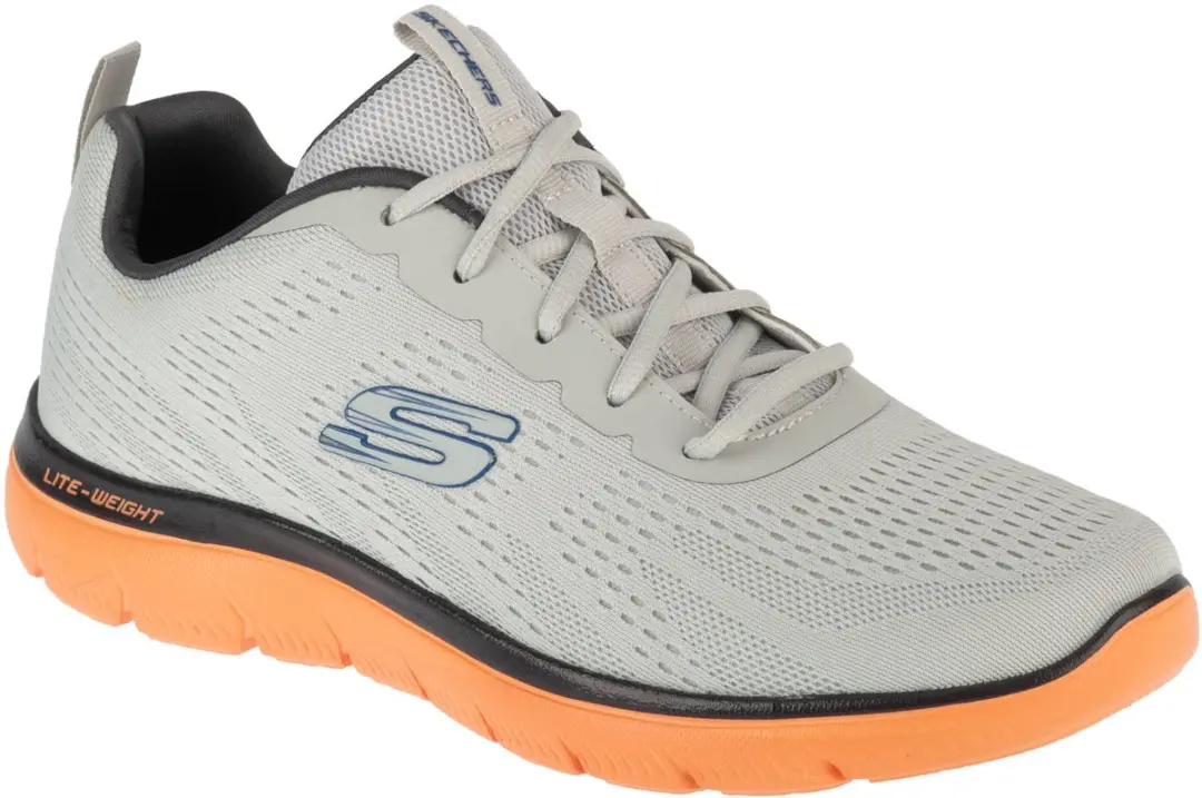 Skechers SUMMITS