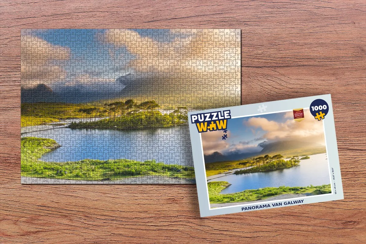 PuzzleWow Galway Legpuzzel 1000 Stuks - Multicolor