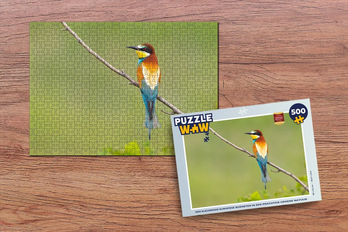 PuzzleWow Legpuzzel 500 Stuks - Multicolor