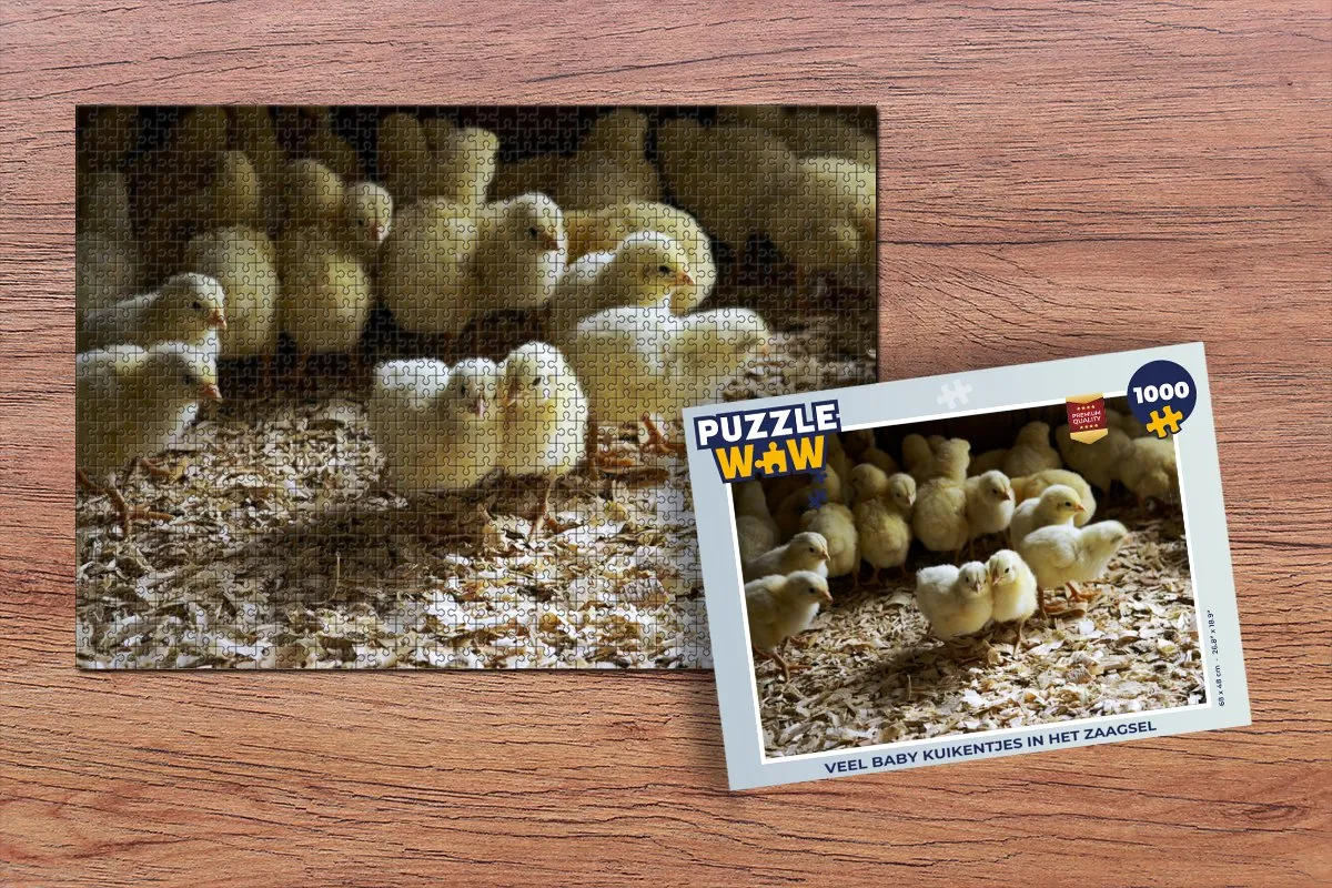PuzzleWow Legpuzzel Veel baby kuikentjes 1000 Stuks