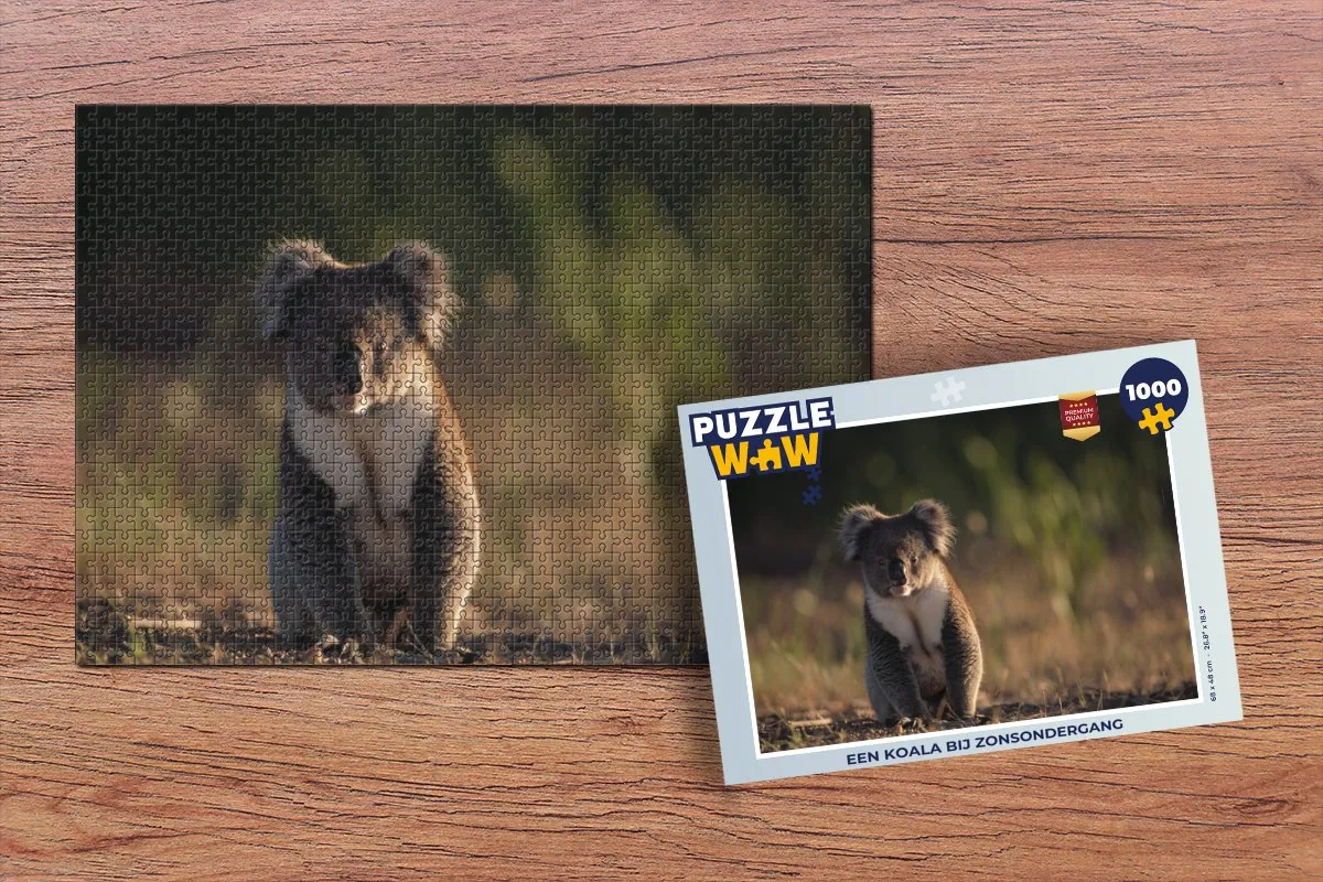 PuzzleWow Koala Zon Dieren Legpuzzel 1000 Stuks