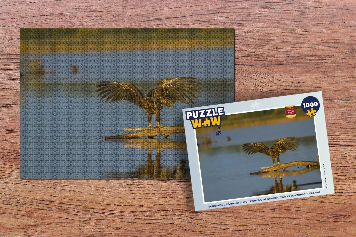 PuzzleWow Legpuzzel Europese Zeearend 1000 Stuks - Multicolor